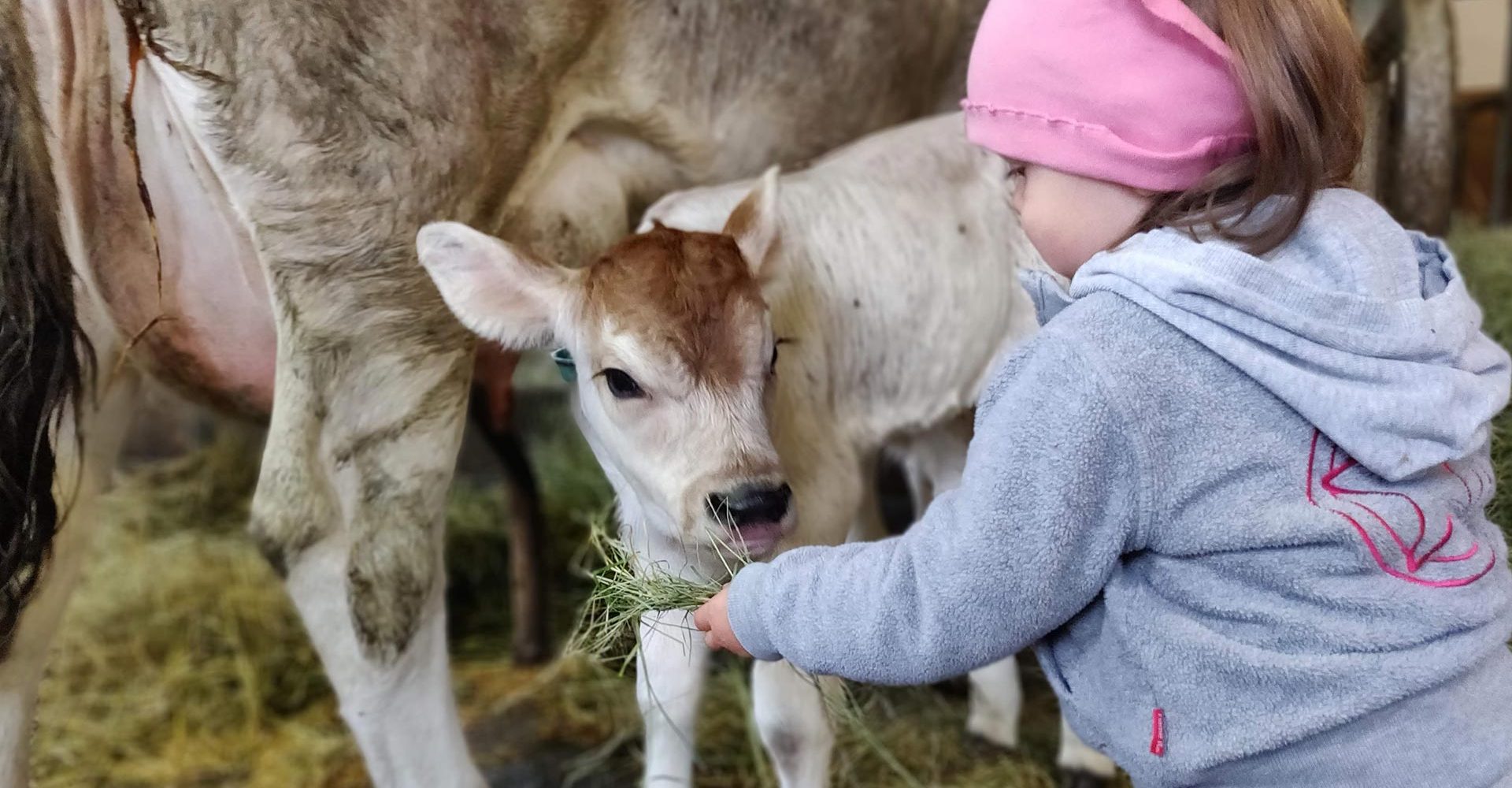 bauernhof mit kindern suedtirol 5