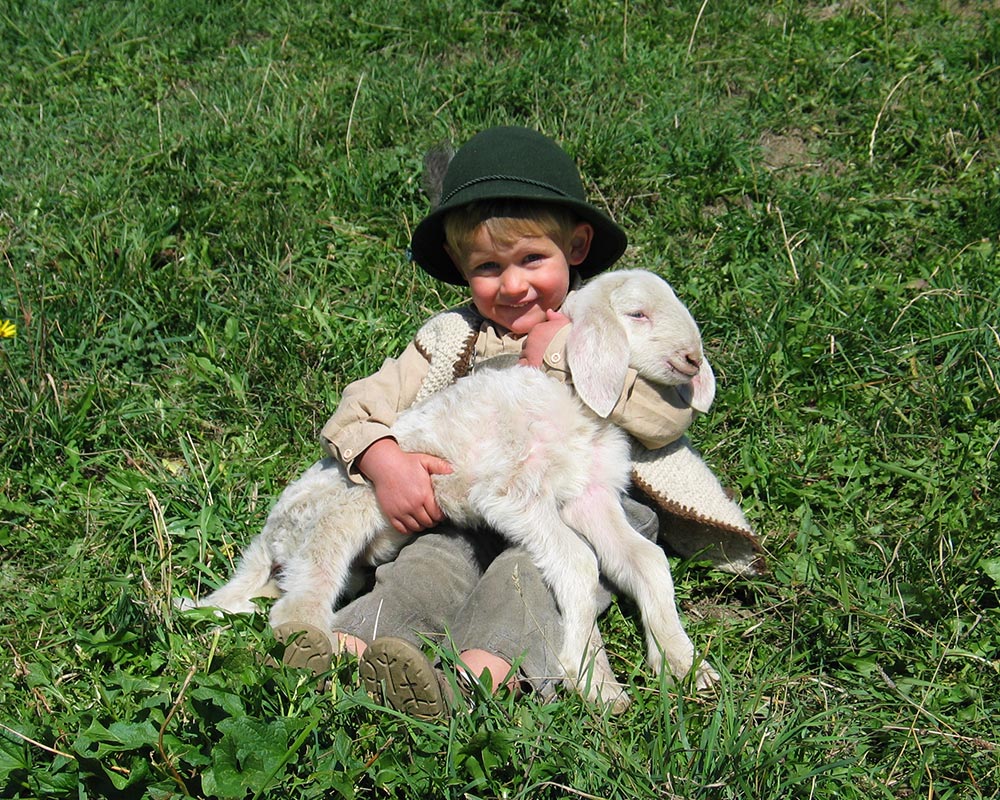 bauernhofurlaub mit kindern