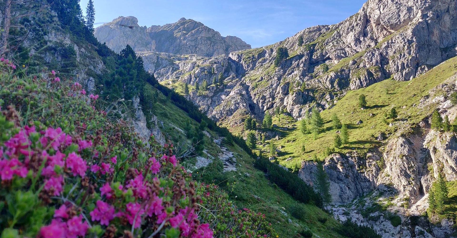 erfrischender sommerurlaub in luesen 5