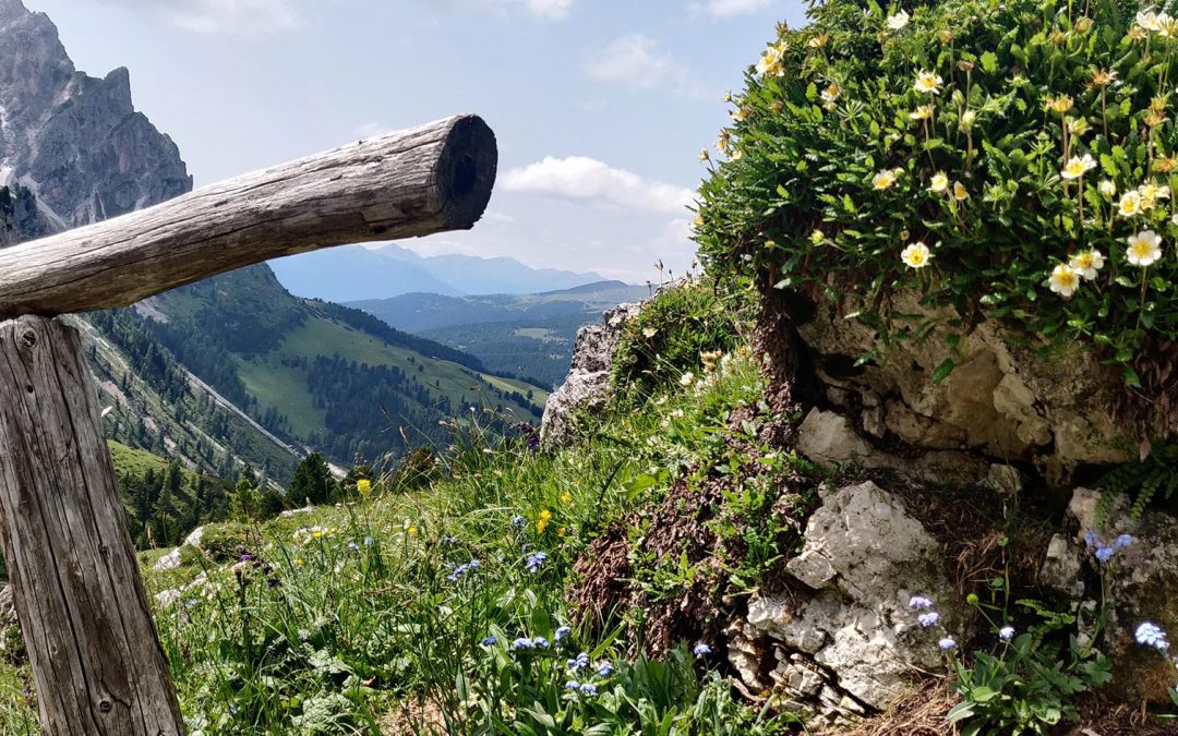 Frühlingsauszeit