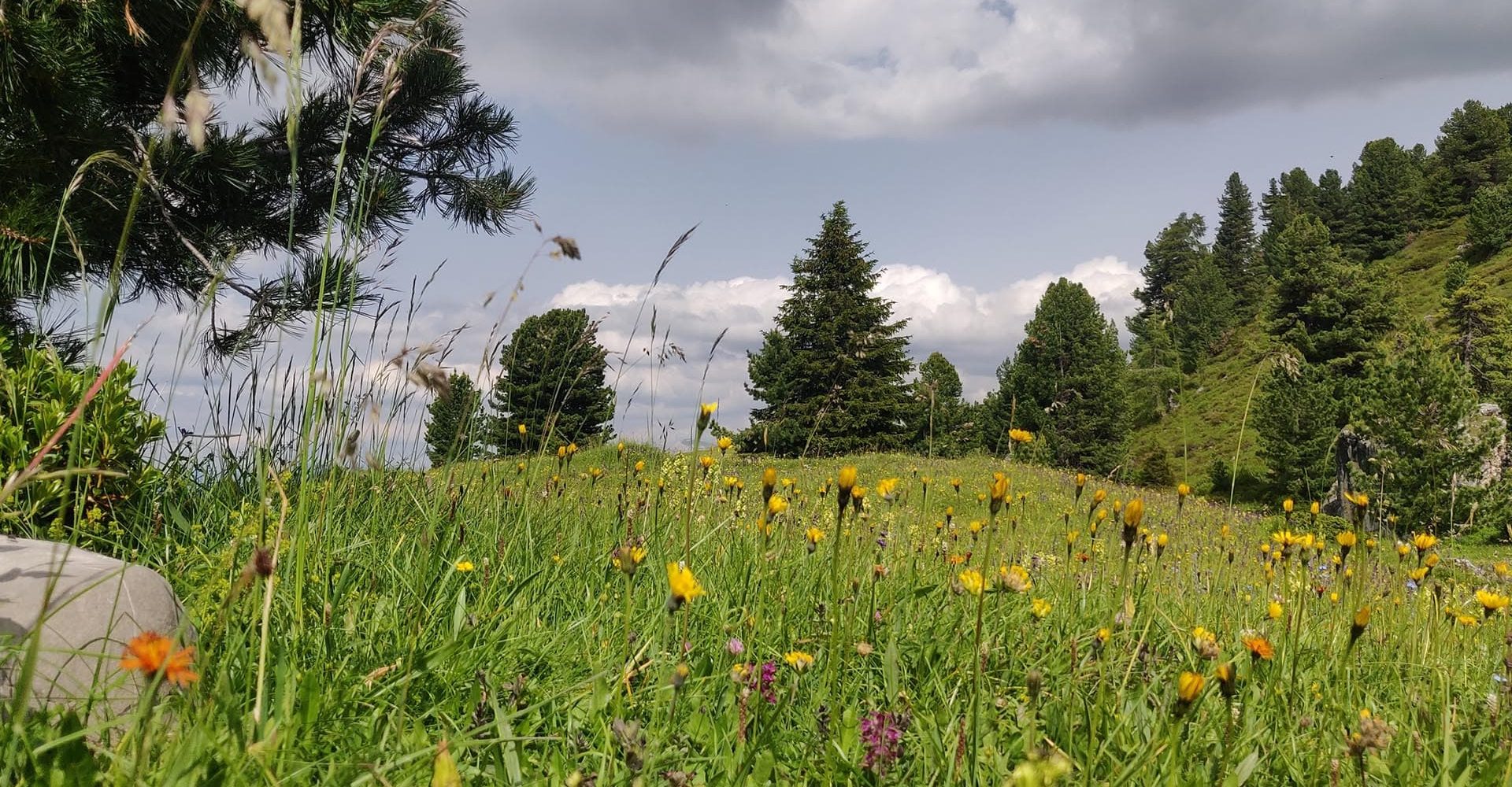 fruehling in luesen suedtirol 2 1