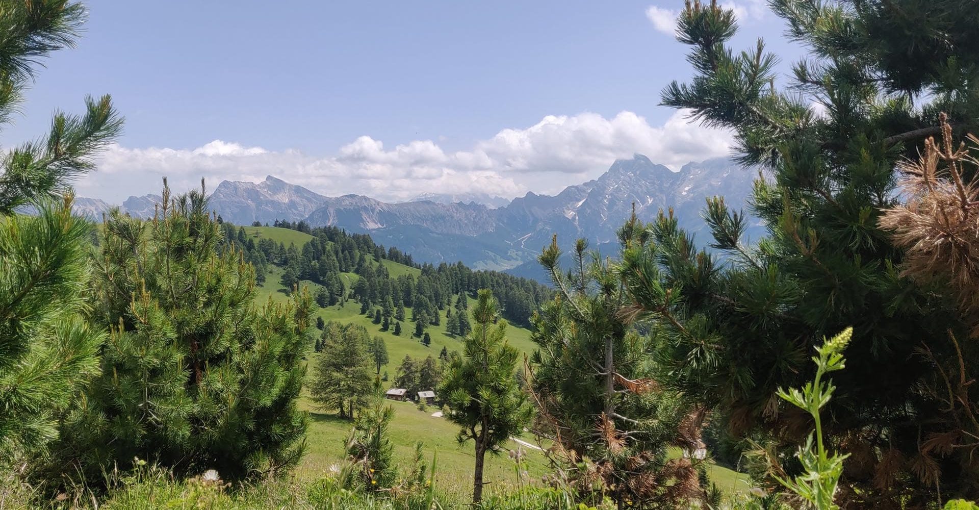 fruehling in luesen suedtirol 3 1