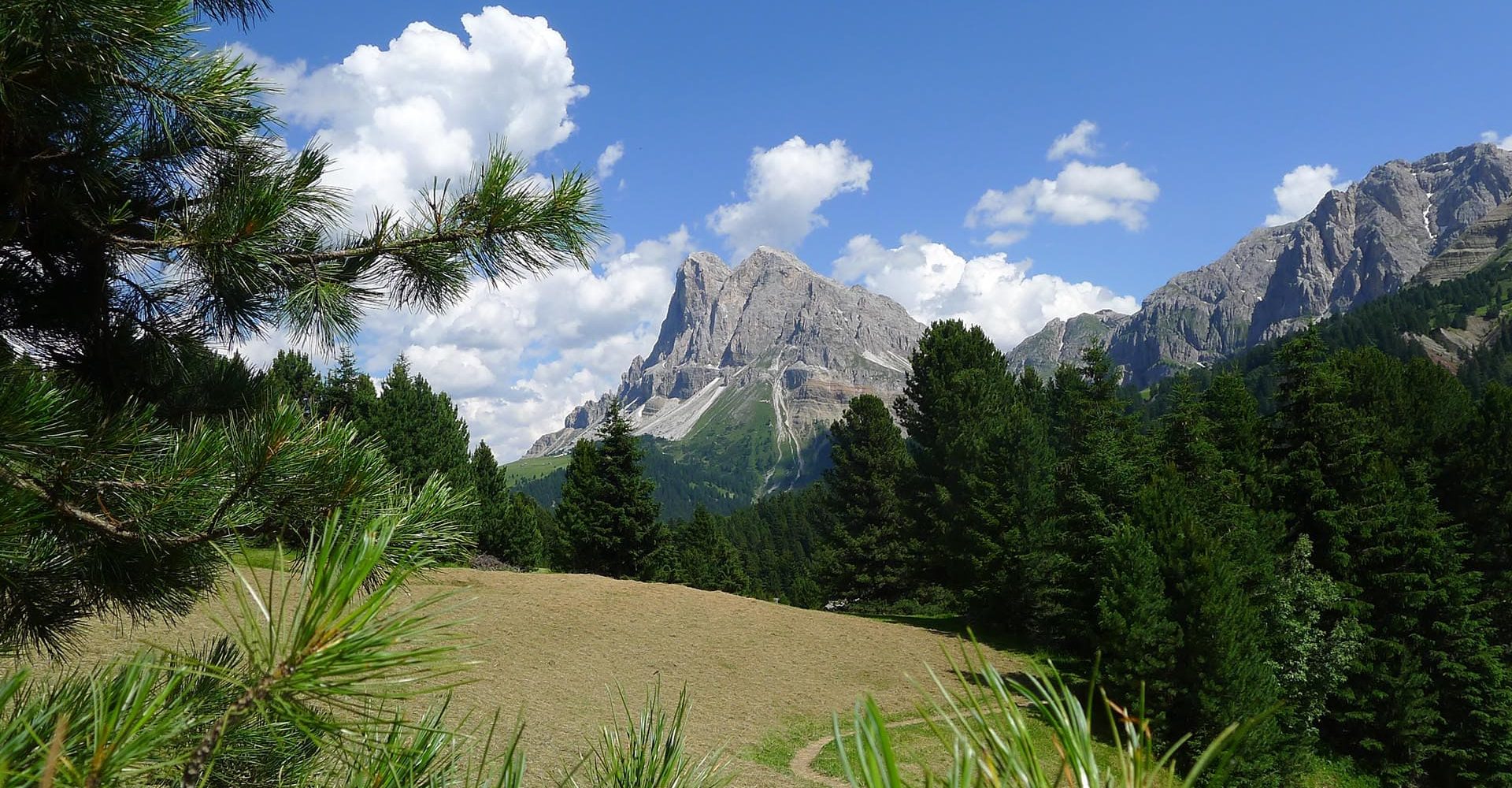 fruehling in luesen suedtirol 4 1