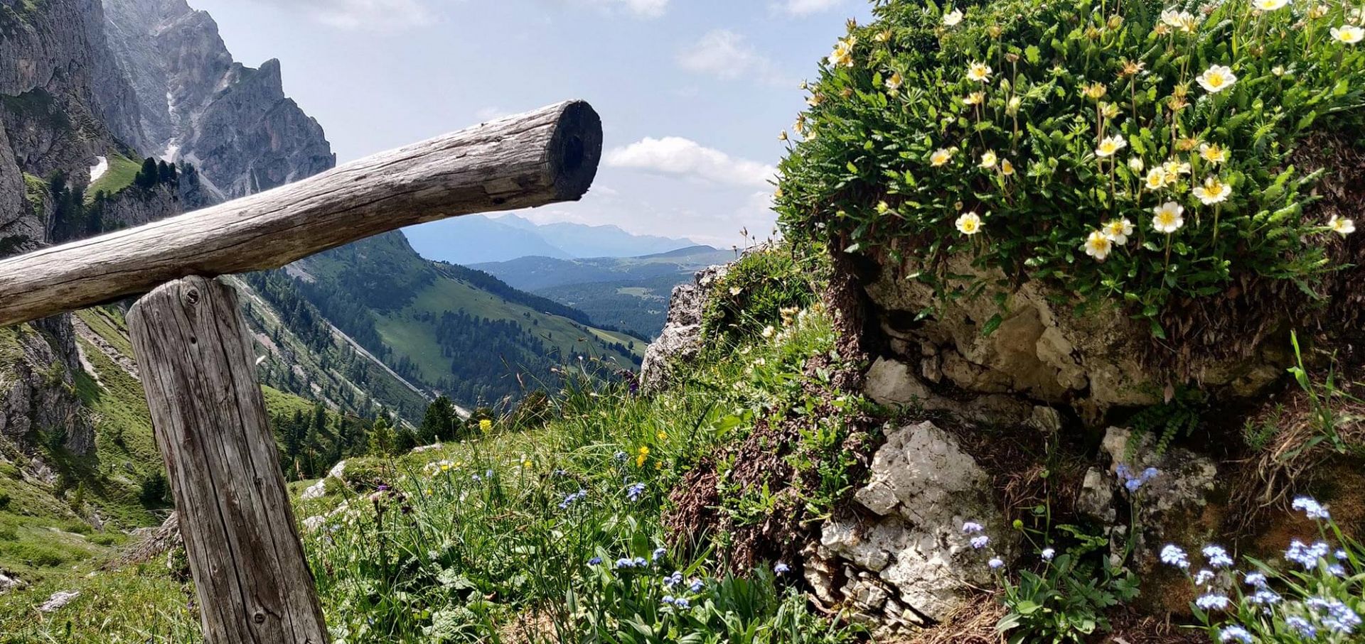 Primavera a Luson/Alto Adige: il risveglio naturale e seminari interessanti