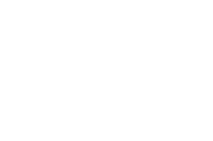 logo odles 1