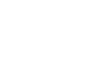 logo odles