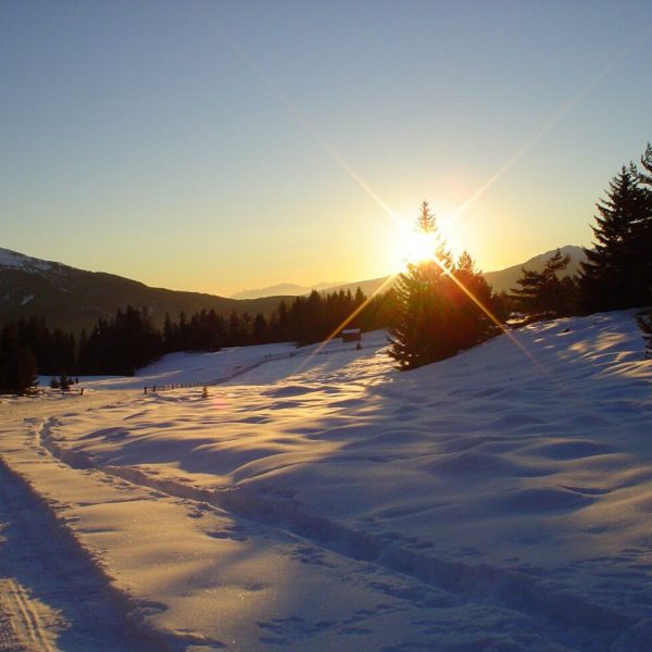 winterurlaub dolomiten suedtirol luesen ski langlauf rodeln 1