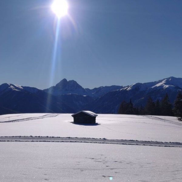 winterurlaub dolomiten suedtirol luesen ski langlauf rodeln 3