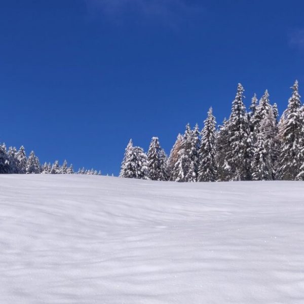 winterurlaub dolomiten suedtirol luesen ski langlauf rodeln 6