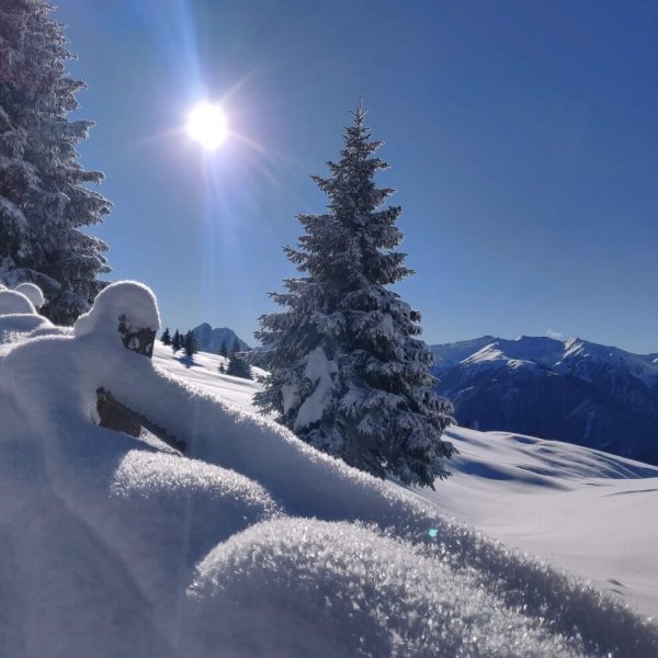 winterurlaub dolomiten suedtirol luesen ski langlauf rodeln 9